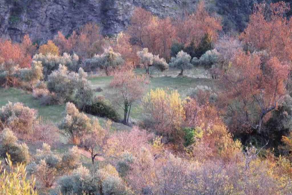 הוילה Atalbeitar Casa Carmela, Rural House With Spectacular Views, In An Exquisite Area מראה חיצוני תמונה