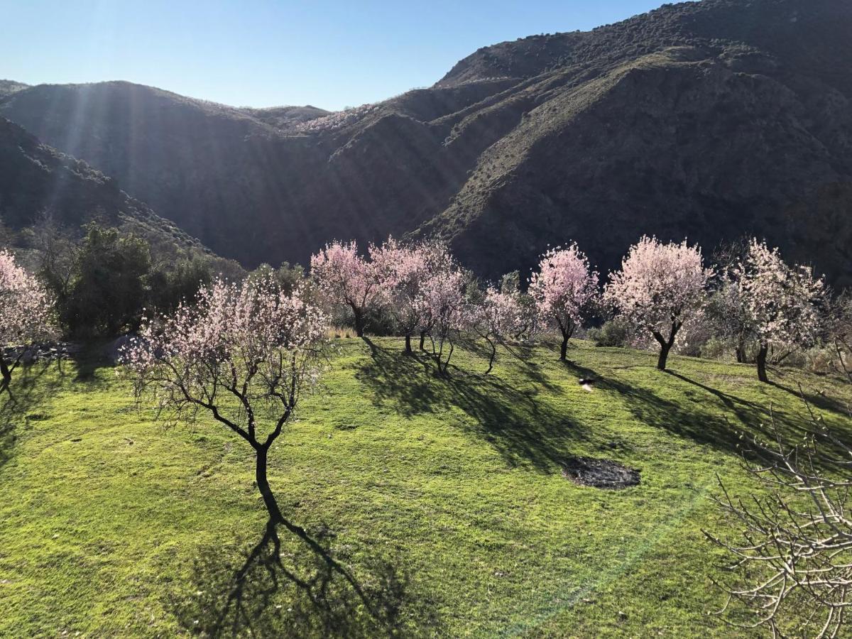 הוילה Atalbeitar Casa Carmela, Rural House With Spectacular Views, In An Exquisite Area מראה חיצוני תמונה