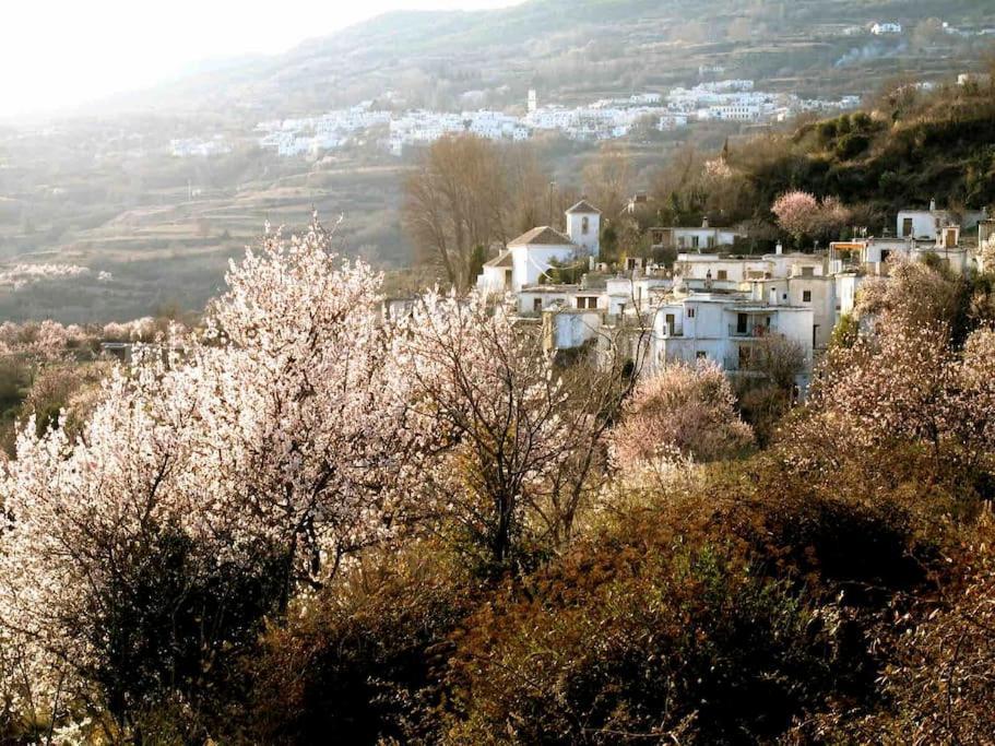 הוילה Atalbeitar Casa Carmela, Rural House With Spectacular Views, In An Exquisite Area מראה חיצוני תמונה